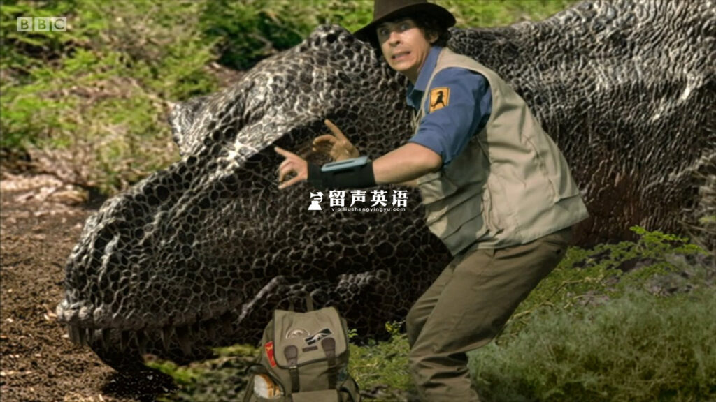 BBC科普英语真人动画《Andy's Dinosaur Adventures 安迪的恐龙历险记》全20集，1080P高清视频带英文字幕，百度网盘下载！-留声英语