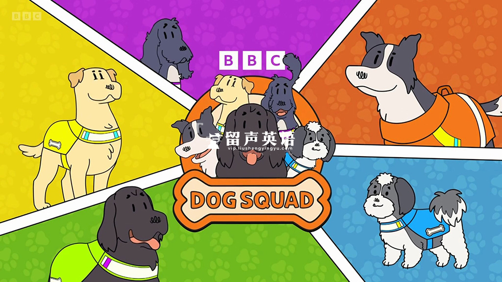 BBC寓教于乐儿童节目《Dog Squad》全1-3季共55集，了解不同类型工作犬，1080P高清视频带英文字幕，百度网盘下载！-留声英语