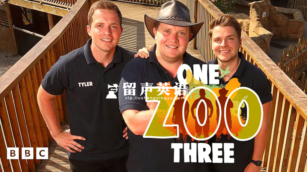 BBC儿童节目《One Zoo Three 三兄弟动物园》全五季共56集，1080P高清视频带英文字幕，百度网盘下载！-留声英语
