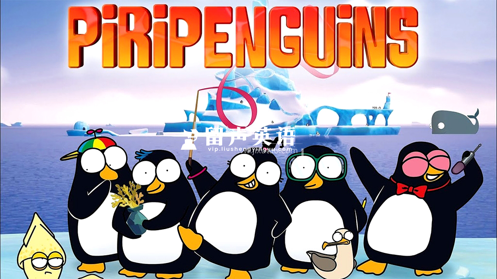 BBC英文动画《Piripenguins 皮里企鹅》全52集，1080P高清视频带英文字幕，百度网盘下载！-留声英语